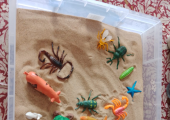 Working with Sand trays