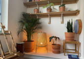 Beautiful plants in therapy room in Marsden near Huddersfield and Holmfirth