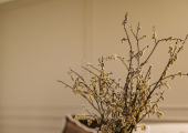 Counselling space in Ballymena