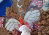 Sand Tray Therapy