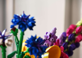 Lego Flowers at Foster Growth Therapy