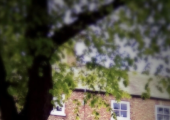 The Wellness Centre, Northallerton
