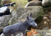 Sandplay figurines in nature