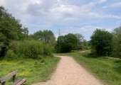 Outdoor Therapy Space