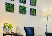Therapy space
