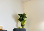 Therapy space