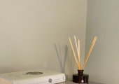 Bookcase in the therapy studio