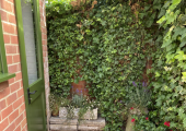 Exterior of counselling space in a peaceful location.