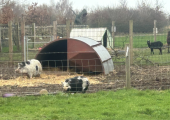 My pod is located on a stunning eco farm.