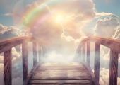 Over Rainbow Bridge...