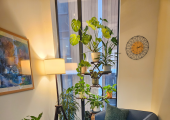 The therapy space.