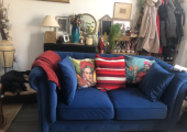 Comfy therapy sofa and therapy dog in Oakham.