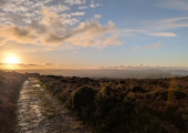 Quantock Hills (nature assisted therapy sessions)