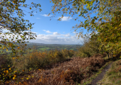 Blackdown Hills (Nature Assisted Therapy)