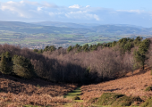 Quantock Hills (nature assisted therapy sessions)