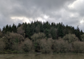 Blackdown Hills (Nature Assisted Therapy)