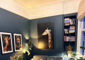 My main therapy room