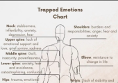 Emotions