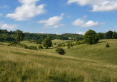 Tring Park