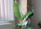 Inside the therapy room