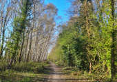 The beautiful backdrop to outdoor therapy