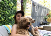 Dogs are a therapy in their own right!
