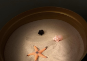 Sand Tray used for exploration in and creativity in sessions