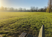 Walk and Talk - Tooting Bec Common