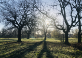 Walk and Talk - Tooting Bec Common