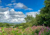 Outdoor therapy in Stirling