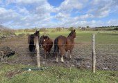 Outdoor Therapy at KEFL in Horton Kirby.