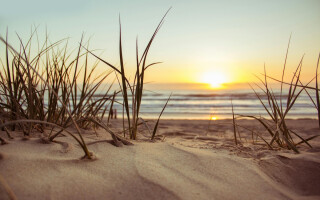 When summer feels like survival