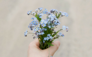 Grief self-talk: Gentle words for hard days