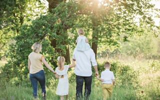 Family dramas - understanding relationship dynamics