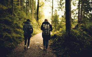 What to expect from walk and talk counselling