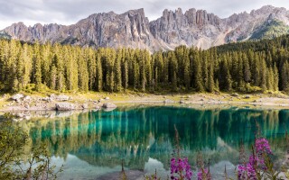 Do I have eco-anxiety?
