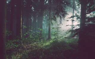 The use of creative expression to access feelings and emotions