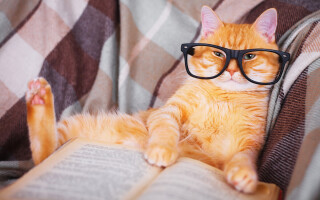 Reading well: 10 books (chosen by professionals) to help support your mental health