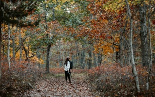How mourning helps us navigate life's losses