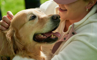 More than a pet: The use of dogs in animal-assisted therapy (AAT)