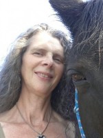 Louise Pell - Equine Assisted Counselling Louise Pell - Equine Assisted Counselling