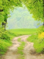 Ayr Therapy & Consultancy Service Ayr Therapy & Consultancy Service