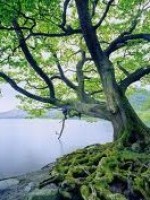 Maria Lawford -Counselling & Supervision Services Maria Lawford -Counselling & Supervision Services