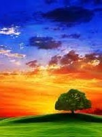 Diana Bell ~ Counsellor MBACP (Reg) Buckhurst Hill~ supporting adults & children Diana Bell ~ Counsellor MBACP (Reg) Buckhurst Hill~ supporting adults & children