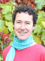 Louise Wender Louise Wender
