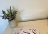 Let me support you to Calm Your Worry Warrior!