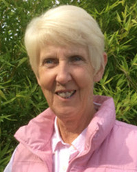 Ann Willows. GQHP., MNCP., Dip H. Ann Willows. GQHP., MNCP., Dip H.