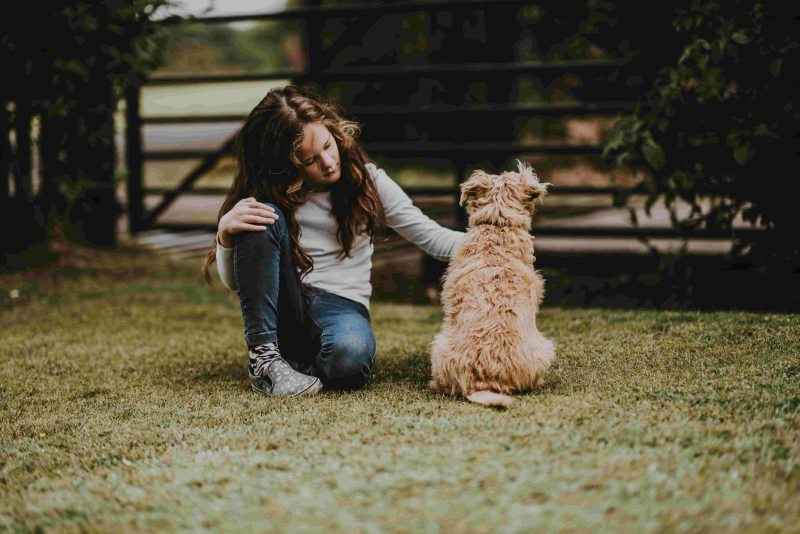A child pets a dog while looking worried