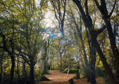Nature, source, grounding