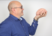 How the brain works is fascinating